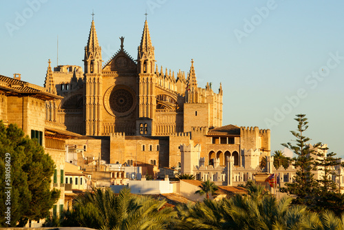 Catedral de Mallorca desde la terraza d' es Baluard (Museu d'art modern i contemporani de Palma).Palma.Mallorca.Islas baleares.España.