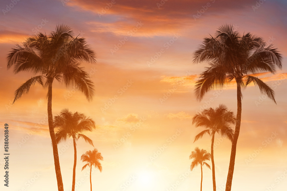 Silhouette tropical palm tree on sunset sky with background and bokeh light. Summer vacation and nature travel adventure concept.