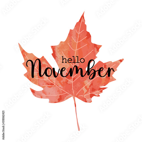 Beautiful calligraphy lettering text - Hello November. Bright orange red watercolor artistic maple leaf vector illustration isolated on white background. Autumn fall welcoming greeting poster design.