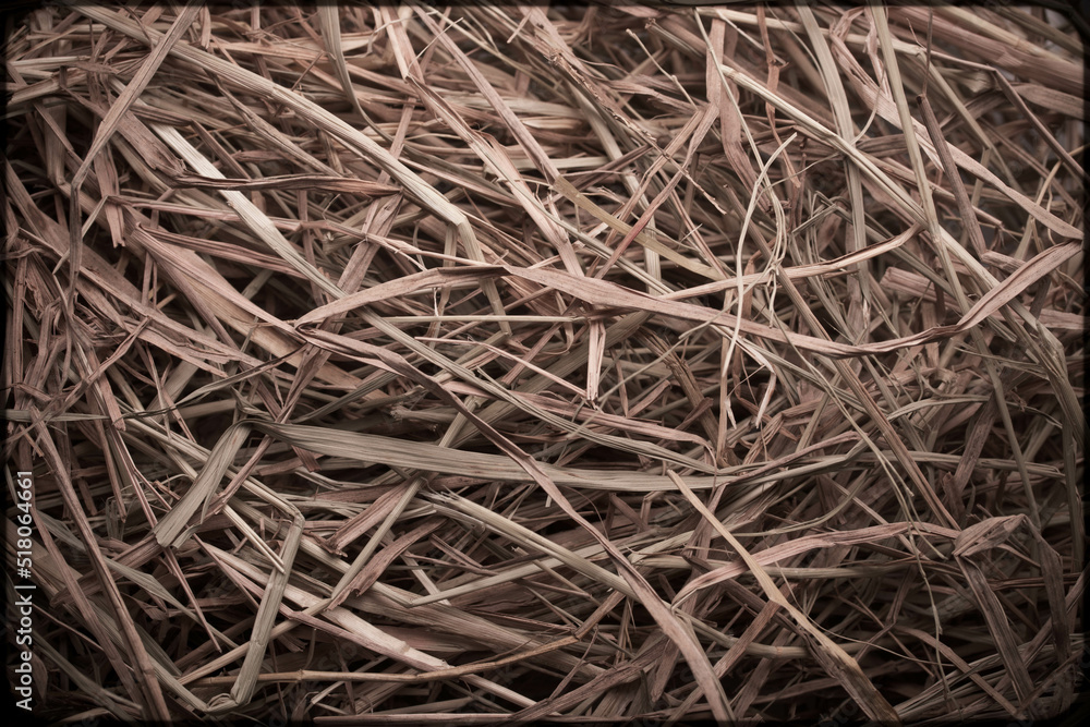 Rice Straw Texture Pattern rice straw for background Rice Straw Texture Pattern rice straw for background