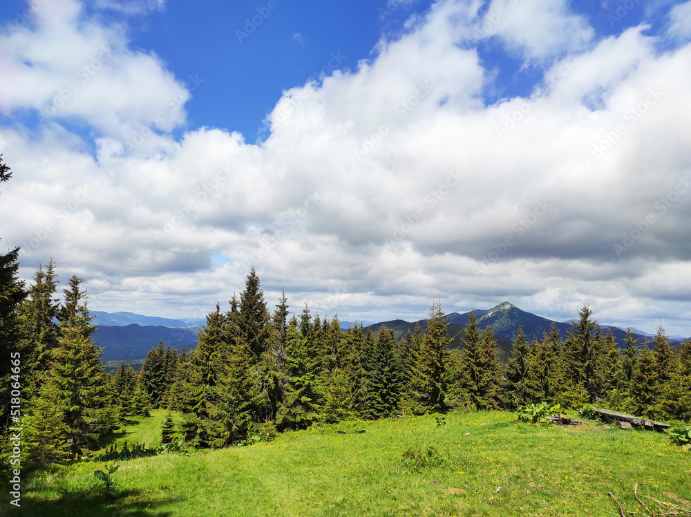 A walk in the mountainous area, aromatic herbs