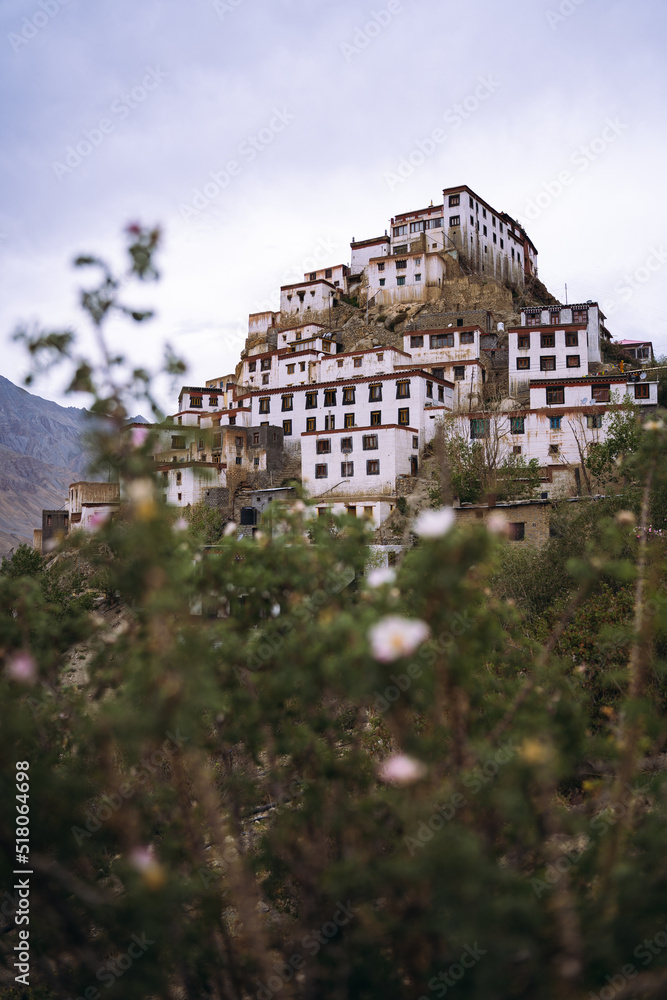 Beautiful landscape of key monastery captured in between blurred pink flowers. Himachal and Spiti Tourism.