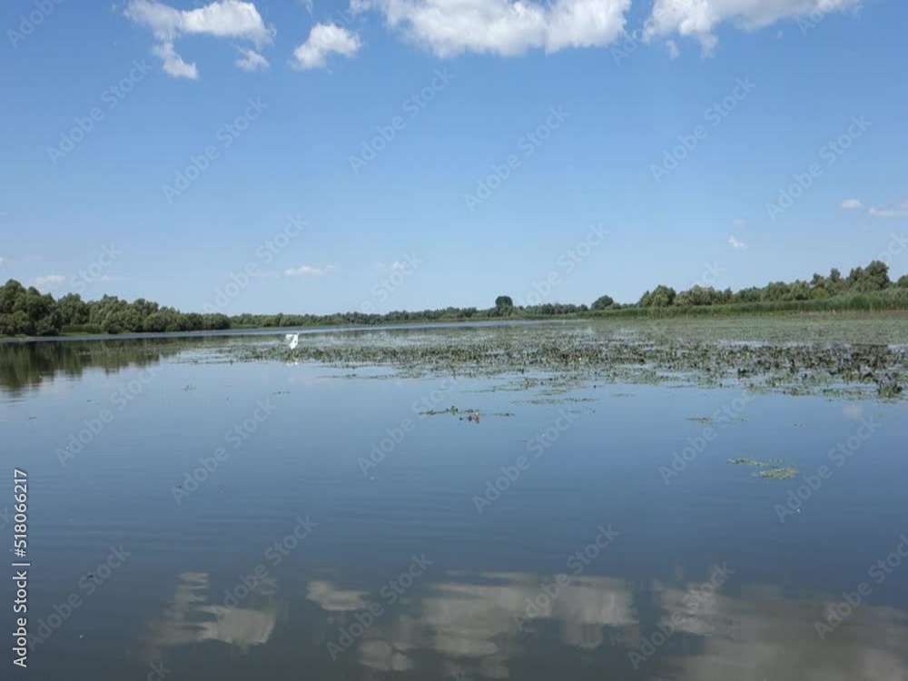 coteţe cotete lake tulcea romania danube delta coteţe cotete lake tulcea romania danube delta