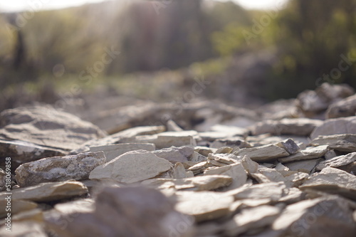  nature, leaf, stone, forest, leaves, closeup