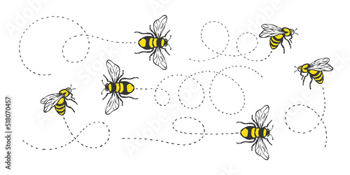 Bee flying. Bee flying on a dotted route. Hand drawn bees. Vector illustration
