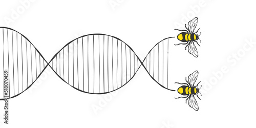 Bee flying. Flight of bees DNA trace. Hand drawn bees. Vector illustration
