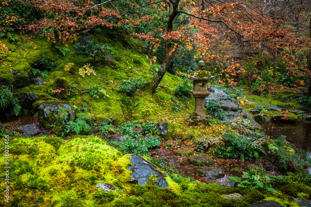 Autumn Japanese Garden in Rurikoin Temple, Kyoto, Japan Autumn Japanese Garden in Rurikoin Temple, Kyoto, Japan