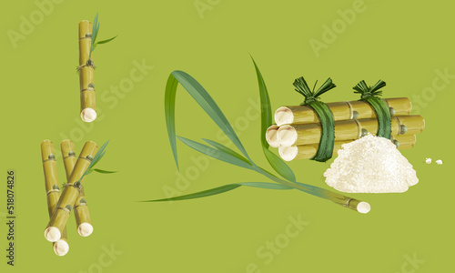 sugar canes