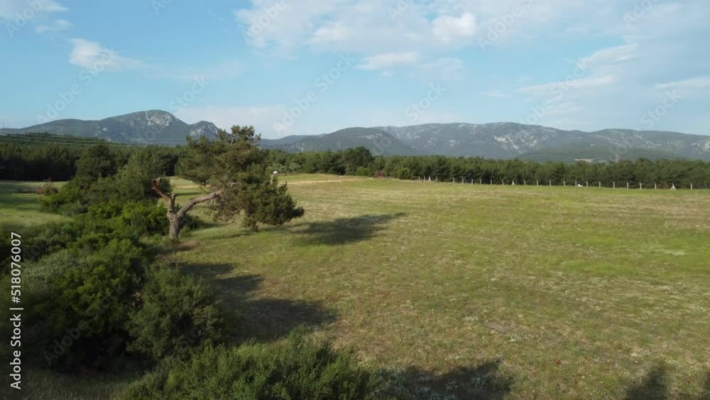 Video of a drone which is flying over the trees and meadov. Video of a drone which is flying over the trees and meadov.