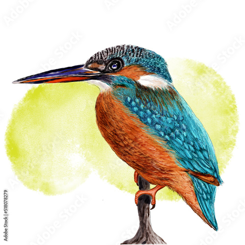 Tableau sur toile Common Kingfisher