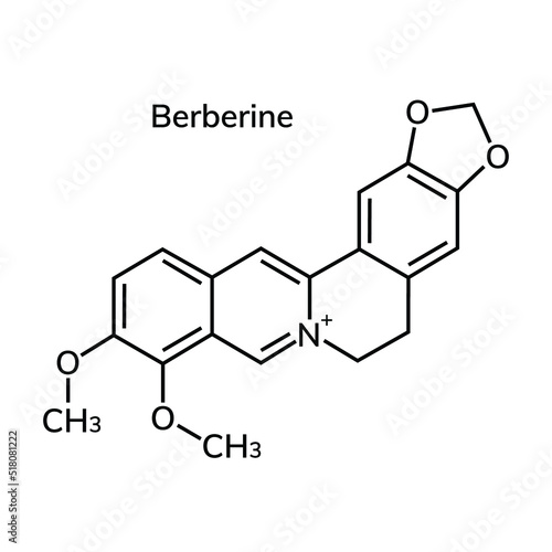 Structural chemical formula of Berberine photo