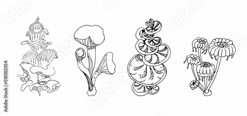 Fantasy decorative set of hand drawn magic mushrooms various shape on white background. Vector illustration