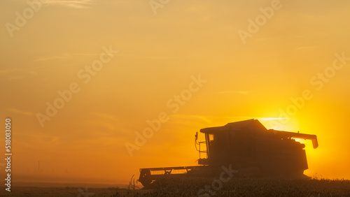 Agriculture. Combine harvester pours grain into the car body at sunset. Seasonal harvesting the wheat. Dusty field from the work of grain harvesting equipment. Silhouette tractor in the sunlight. © ruslan_khismatov
