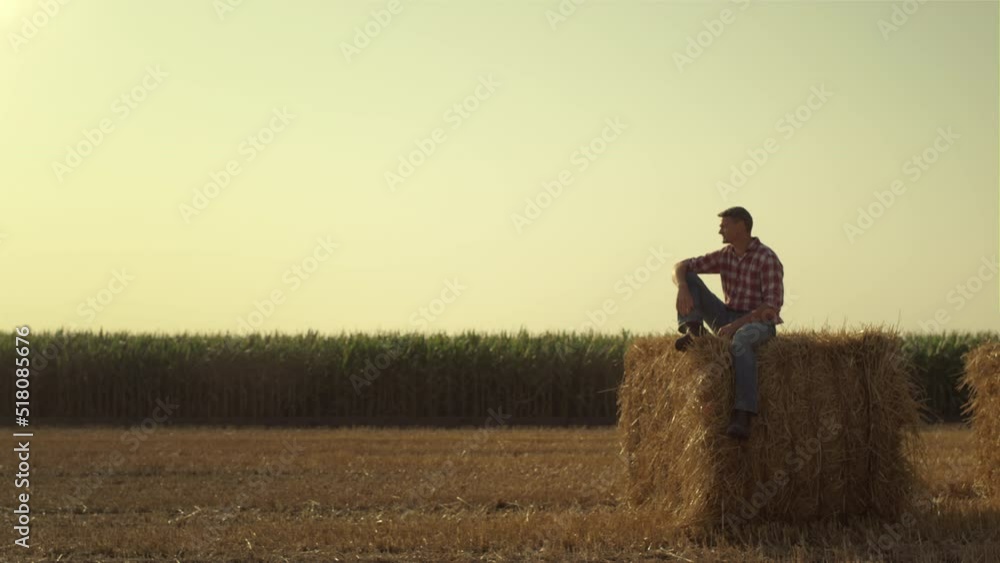 Farmer resting hay stack in autumn evening. Focused worker inspecting harvest Farmer resting hay stack in autumn evening. Focused worker inspecting harvest