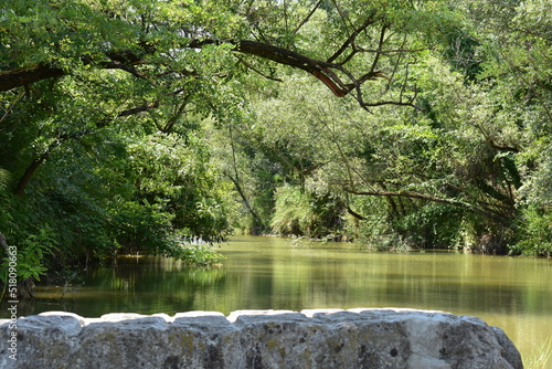 FIUME SAVENA EMIGLIA ROMAGNA