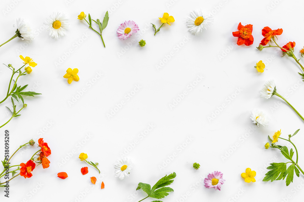 Fototapeta premium Summer floral pattern with wild meadow blooming flowers and herbs