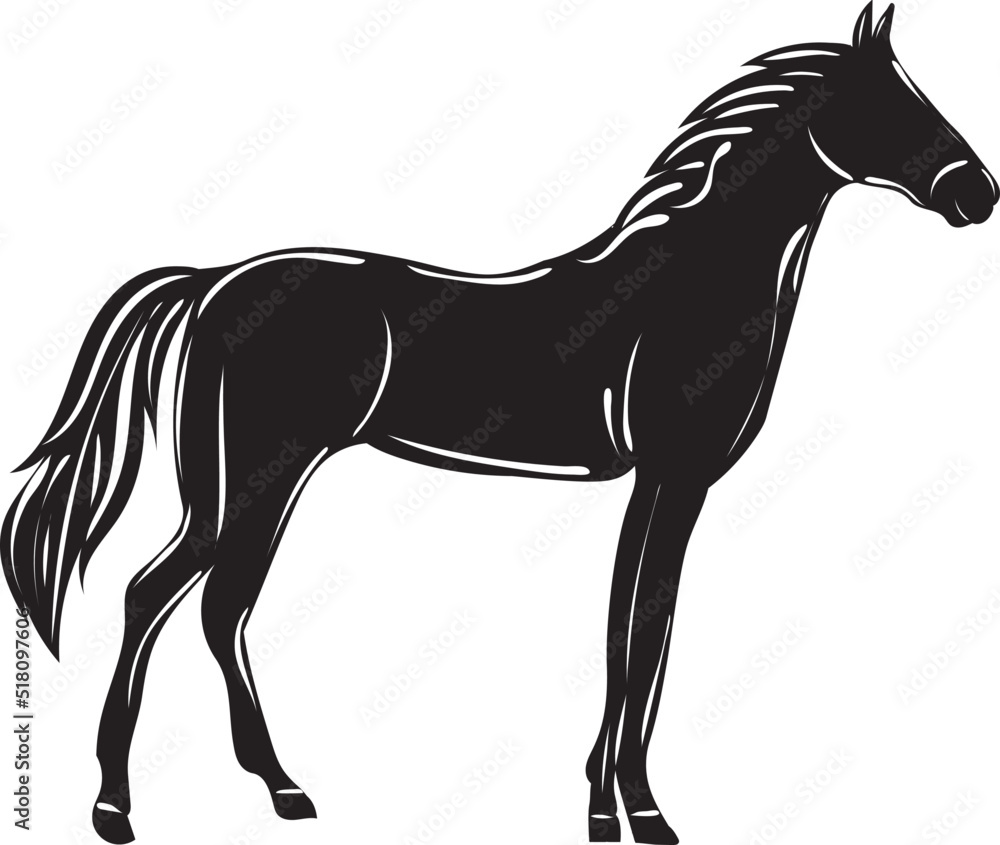 Obraz premium horse silhouette on white background isolated
