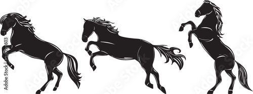 horse silhouette on white background
