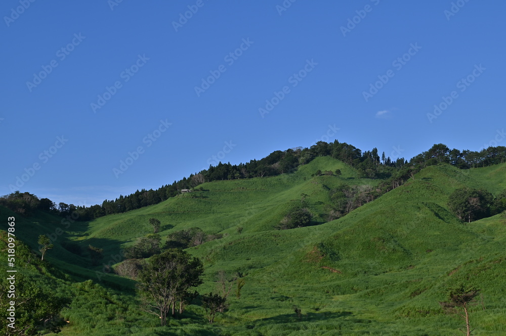 Fototapeta premium 青空の砥峰高原