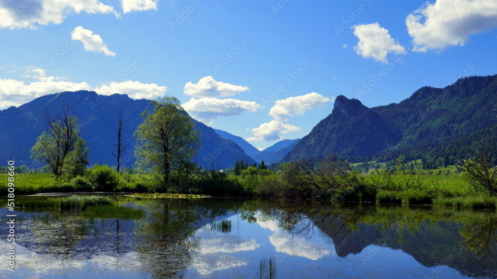 kleiner Teich eines Biotops im Ammergau mit Wald.,  Schilf,  Wiesen und Bergen unter blauem Himmel