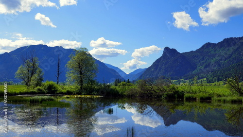 kleiner Teich eines Biotops im Ammergau mit Wald., Schilf, Wiesen und Bergen unter blauem Himmel