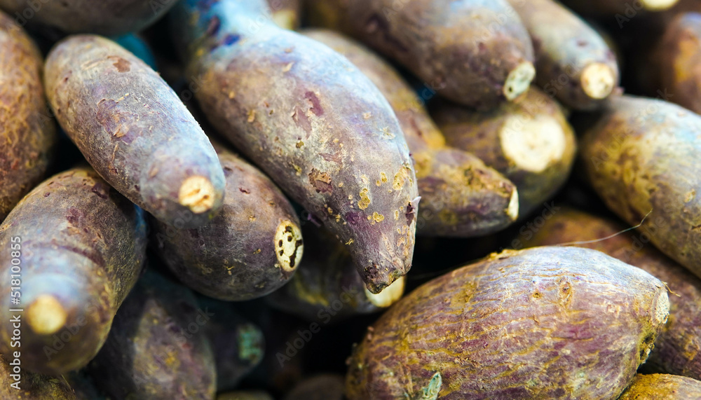 close up of sweet potato