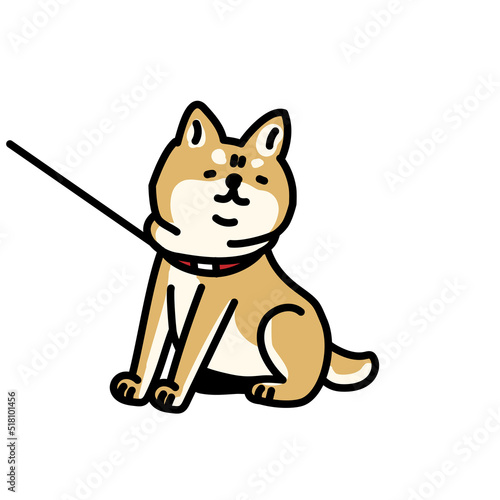 散歩を続けたい柴犬のイラスト