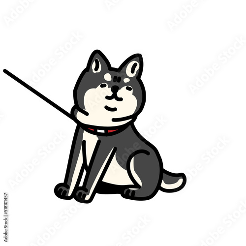 散歩を続けたい柴犬のイラスト