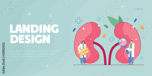Doctors nephrologists examining patients kidney health. Medical care and treatment of urinary system diseases from tiny persons in hospital flat vector illustration. Nephrology, medicine concept