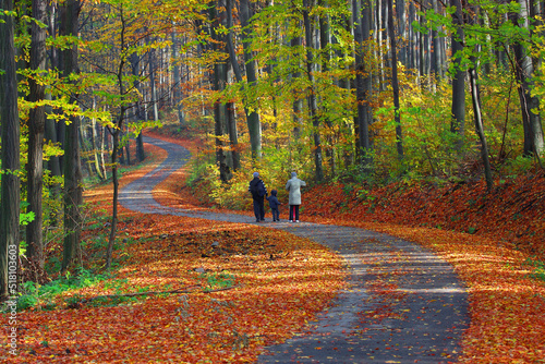 Family walking on  a winding path in the colorful forest in autumn