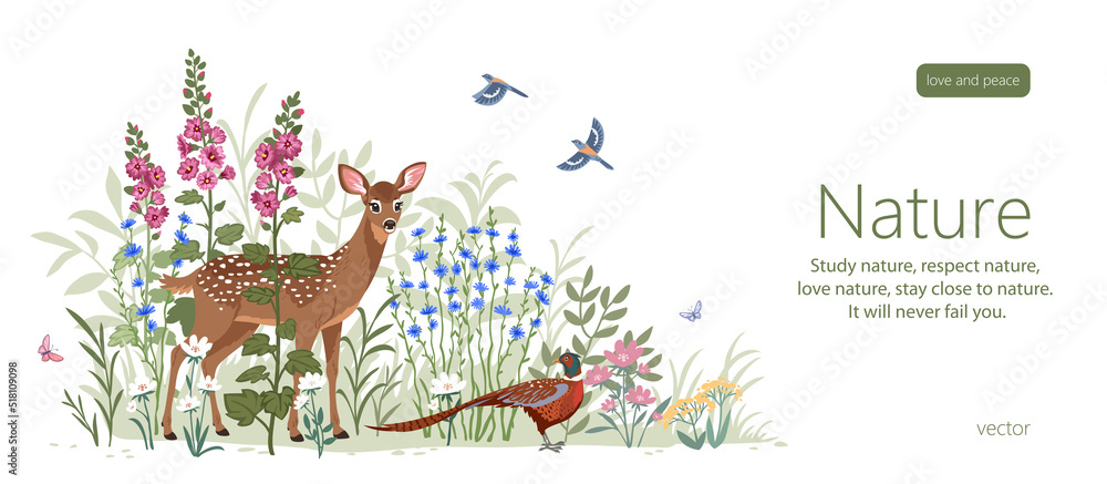 deer and pheasant deer and pheasant