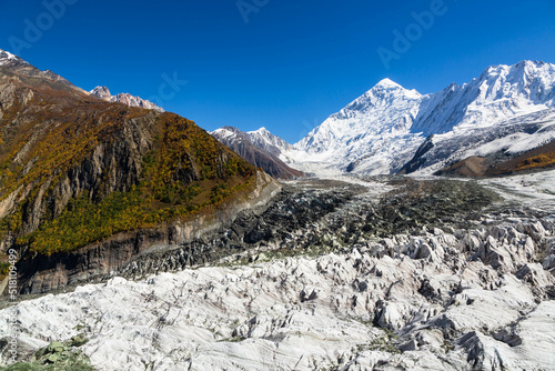 Minapin glacier and Rakaposhi mountain view in autumn with yellow trees. Karakoram, Pakistan