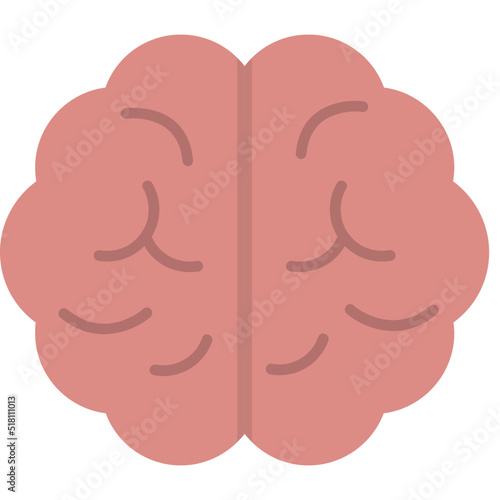 Neurology Icon