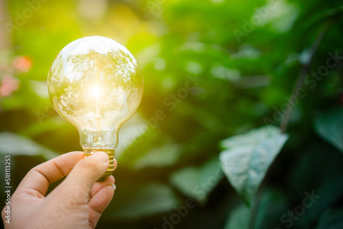 light bulb in the hand