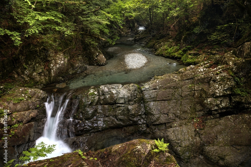 Fototapeta premium 大芦渓谷