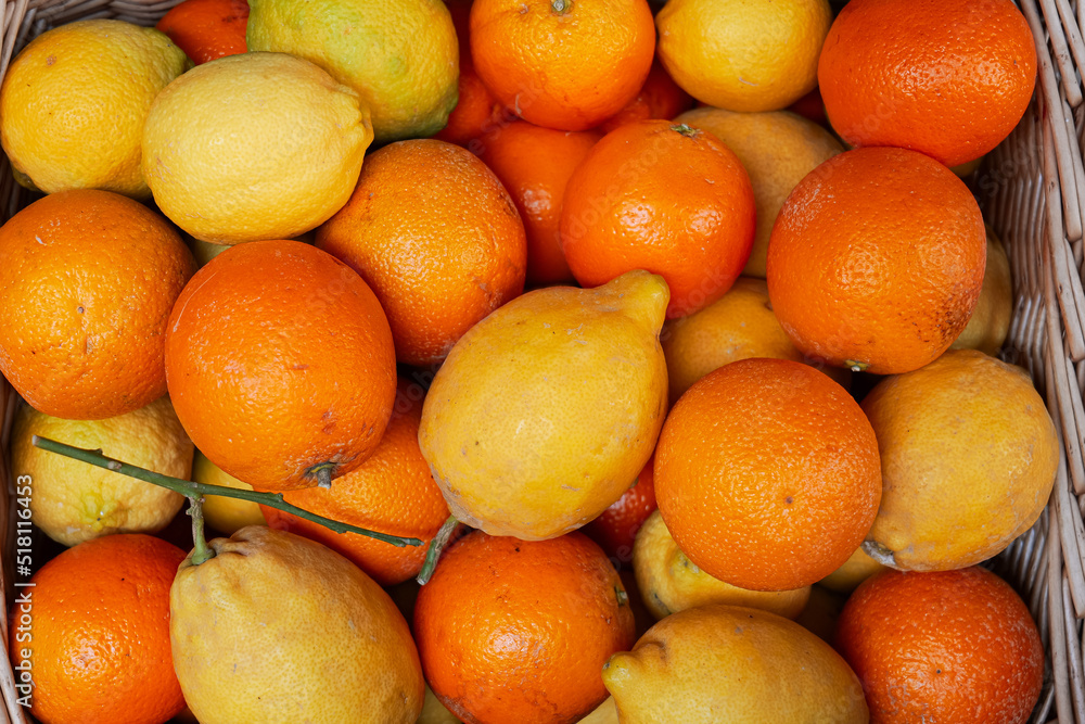 A basket full of citric fruits like oranges and lemons. Healthy fruit food. A basket full of citric fruits like oranges and lemons. Healthy fruit food.