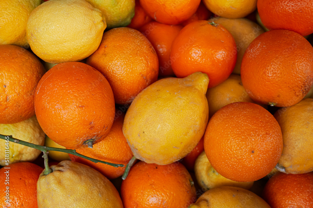 A basket full of citric fruits like oranges and lemons. Healthy fruit food. A basket full of citric fruits like oranges and lemons. Healthy fruit food.