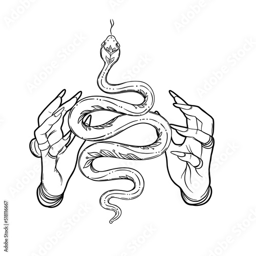 Magic hand and snake. Fortune telling concept. Spiritual Palmistry symbol log...