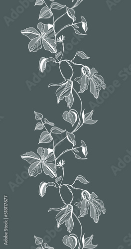 lace border, clematis flowers, vector illustration photo