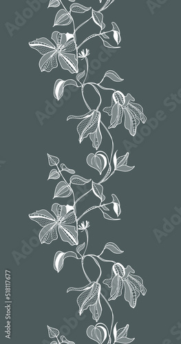 lace border, clematis flowers, vector illustration