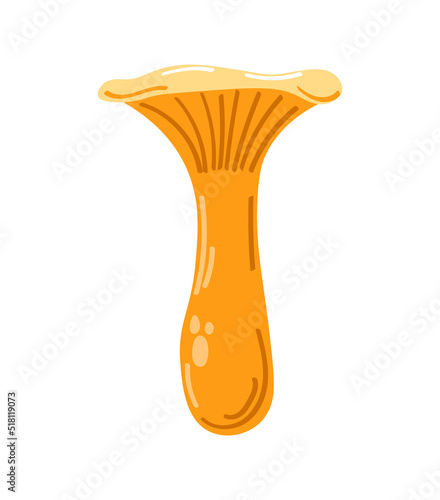 Hand-drawn chanterelles on white background. 