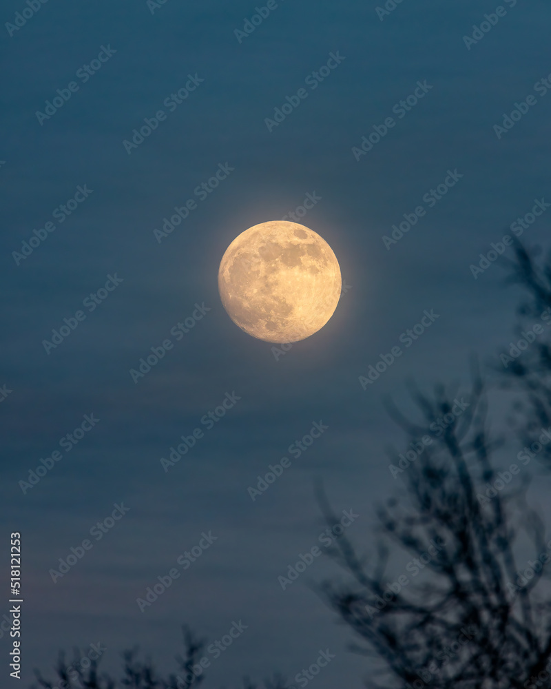 Full moon rising over the tree line with soft ethereal hazy light  illuminating high level clouds. Long Island New York Stock Photo
