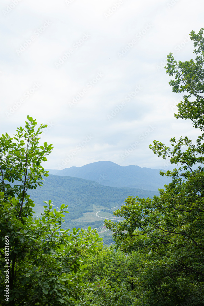 summer landscape with mountains in the forest