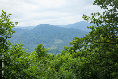 summer landscape with mountains in the forest © Lina Solntseva 