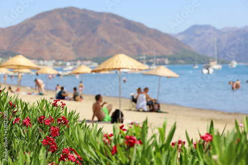 Fototapeta Naklejka Na Ścianę i Meble -  View through oleander flowers to sandy beach with wicker parasols and sunbathing people. Blue sea and mountains, summer resort