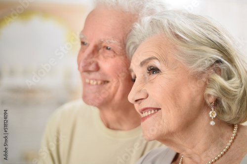 portrait of happy elderly couple posing at home