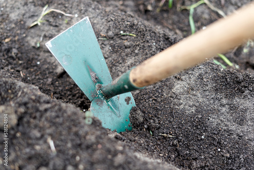 Detail of a hoe digging the soil of a vegetable garden