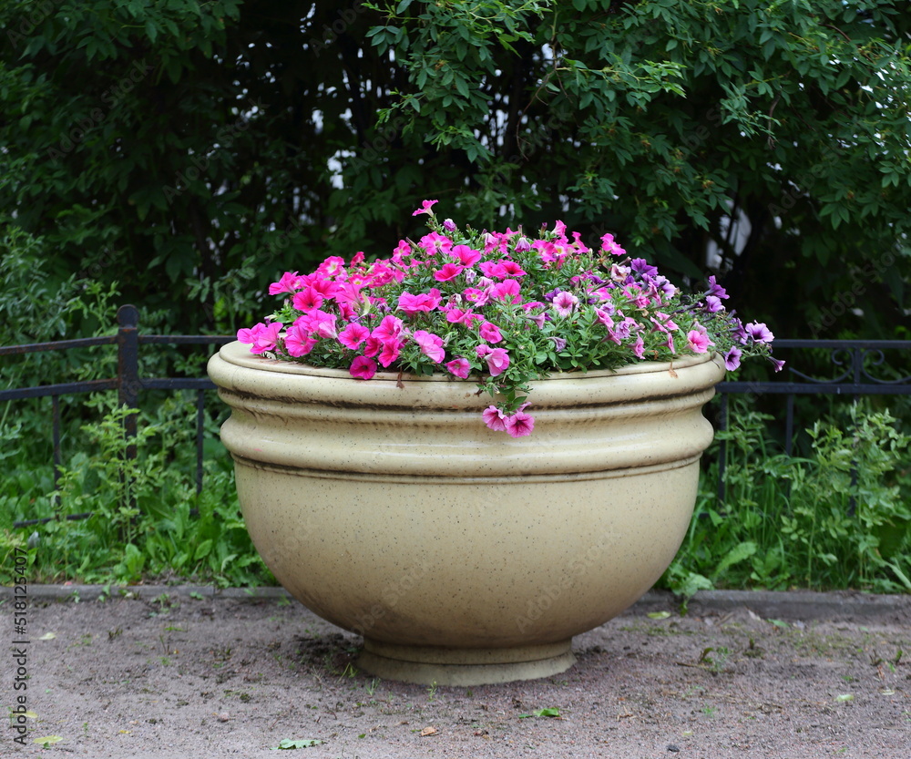 Round concrete flowerbed with colorful flowers and plants Round concrete flowerbed with colorful flowers and plants