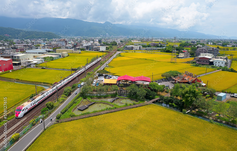 Aerial view of a Puyuma Express train traveling through rice paddy fields in the season of golden harvest with houses scattered between farmlands & mountains on distant horizon in Jiaoxi, Yilan Taiwan