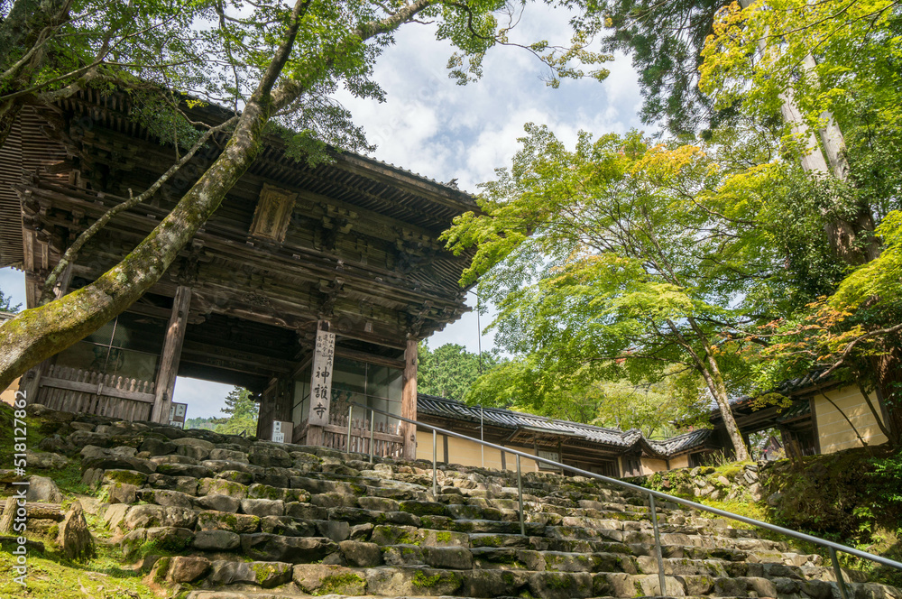 京都 夏の神護寺の山門ともみじの新緑